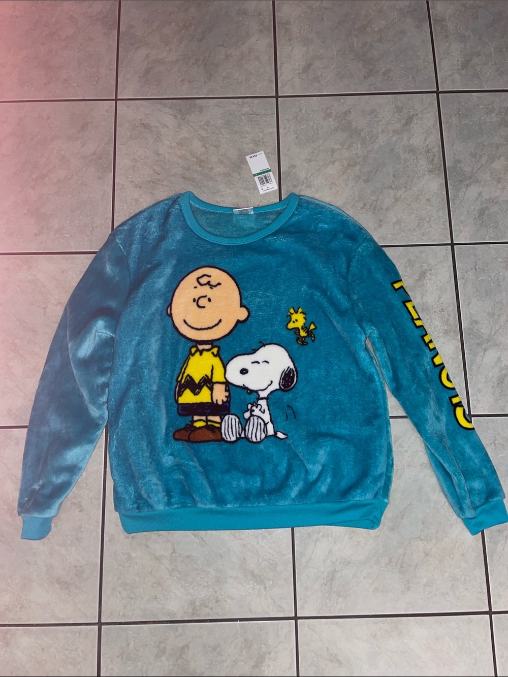 Womens Teal Peanuts Charlie Brown & Snoopy Plush Sweater - women size L